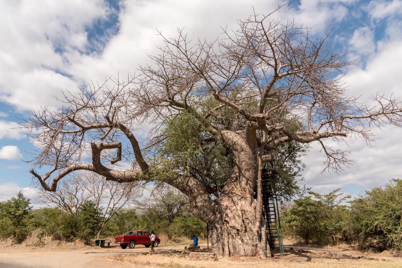 Okavango Lodge Livingstone Exterior foto