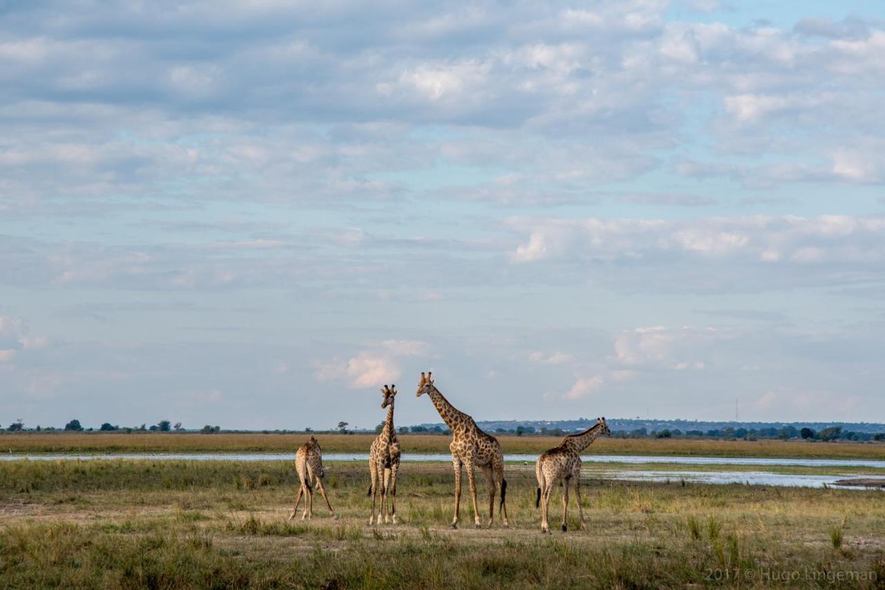 Okavango Lodge Livingstone Exterior foto